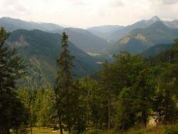 2013-08-25_Risserkogel (039).JPG
